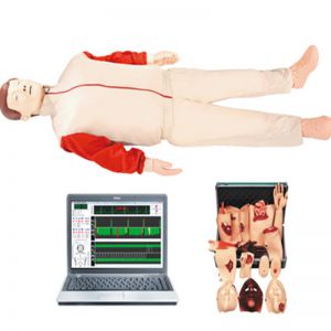 Advanced cardiopulmonary resuscitation (trauma care) simulator